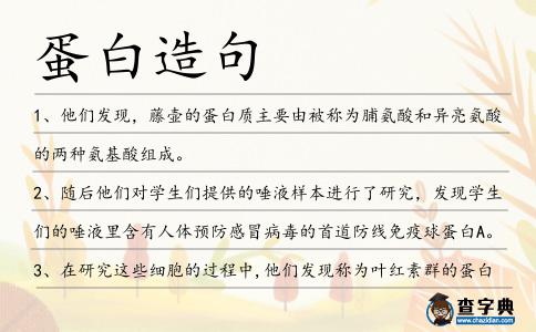 蛋白造句