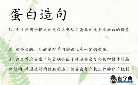 蛋白造句