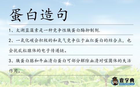 蛋白造句