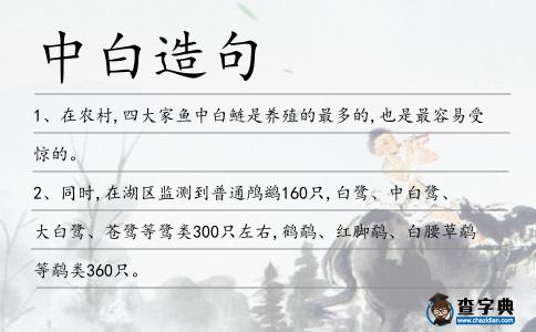 中白造句