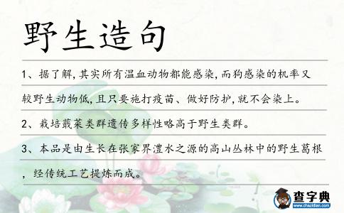 野生造句