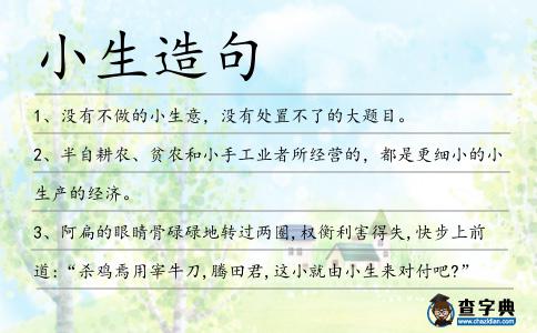 小生造句