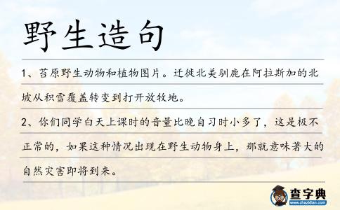 野生造句