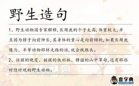 野生造句