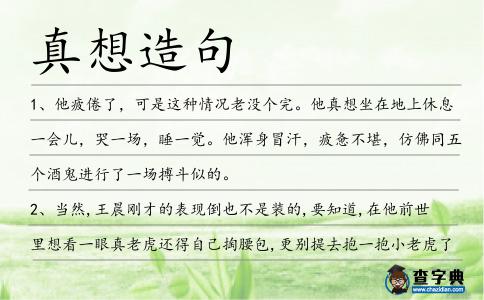 真想造句