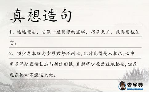 真想造句