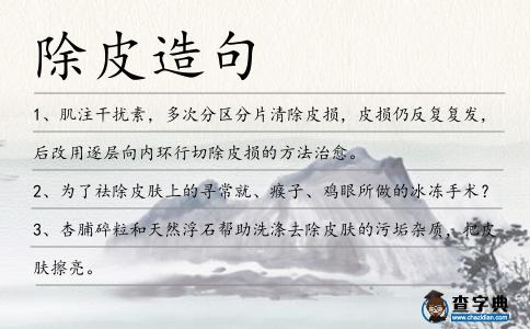 除皮造句