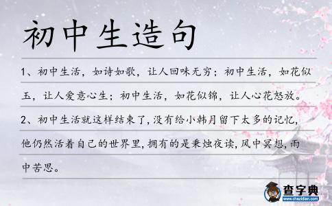初中生造句