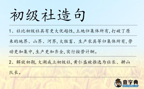 初級社造句