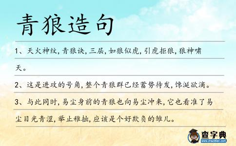 青狼造句