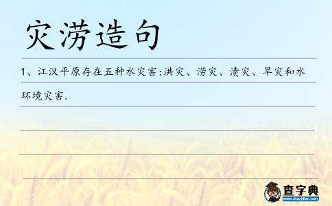 災澇造句