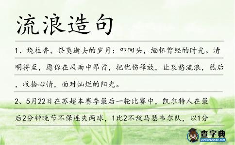 流浪造句