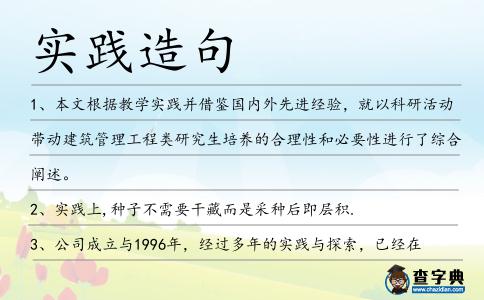 實(shí)踐造句