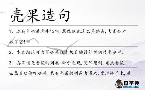 殼果造句
