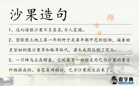 沙果造句