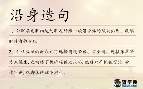 沿身造句