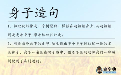 身子造句