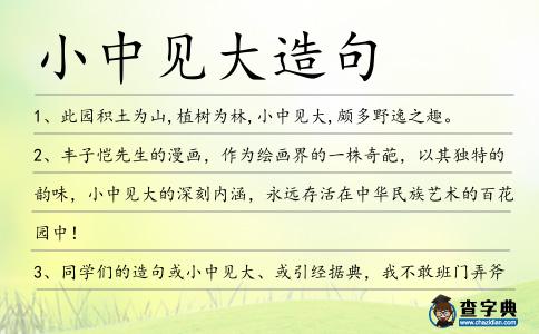小中見大造句