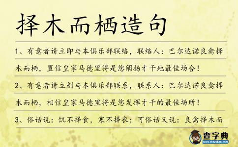 擇木而棲造句