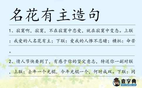 名花有主造句