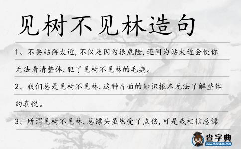 見樹不見林造句