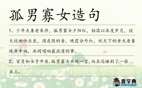 孤男寡女造句
