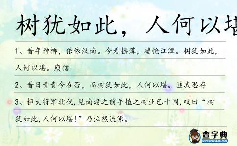 樹猶如此,人何以堪造句