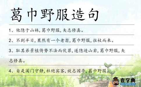 葛巾野服造句