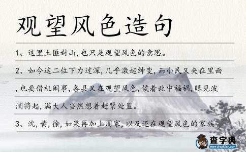 觀望風色造句