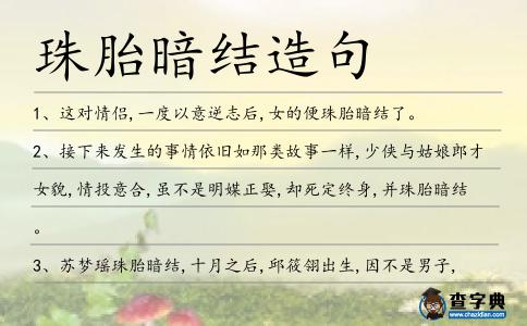 珠胎暗結造句