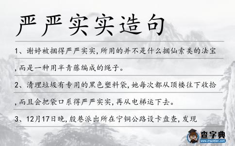 嚴嚴實實造句