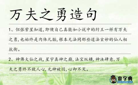 萬夫之勇造句