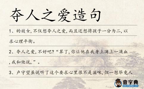 奪人之愛造句