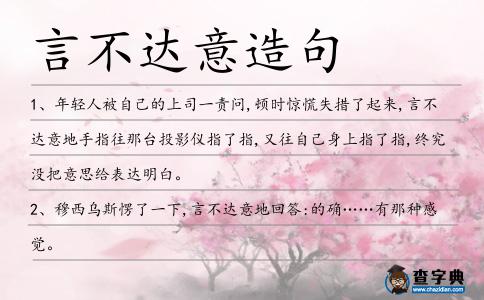 言不達意造句