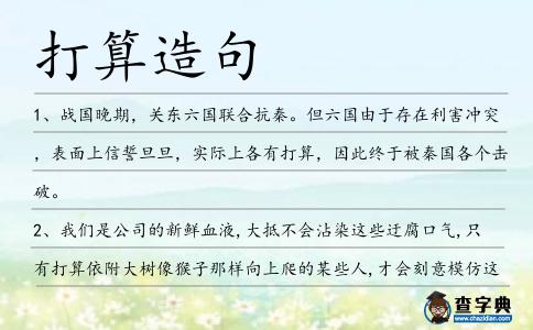打算造句