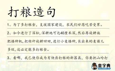 打糧造句