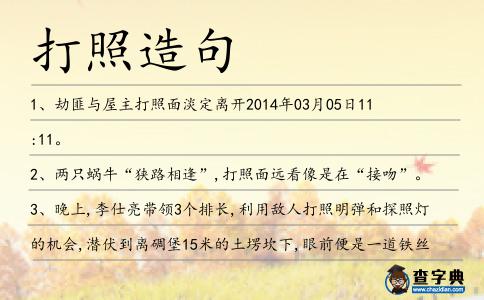 打照造句