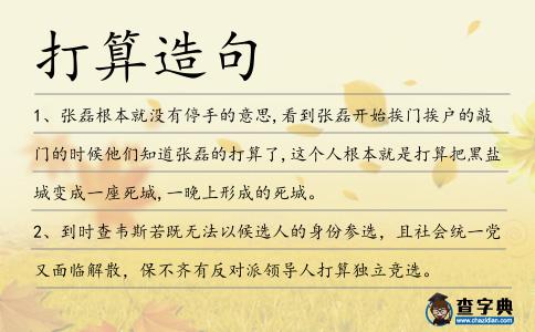 打算造句