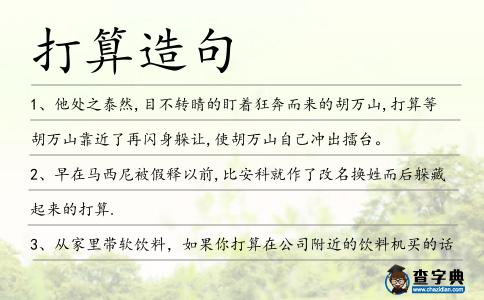 打算造句