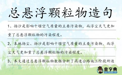 總懸浮顆粒物造句