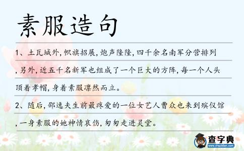 素服造句