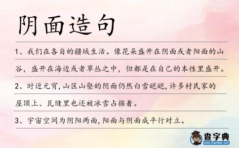 陰面造句