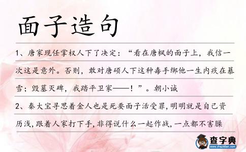 面子造句