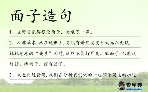 面子造句