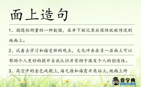 面上造句