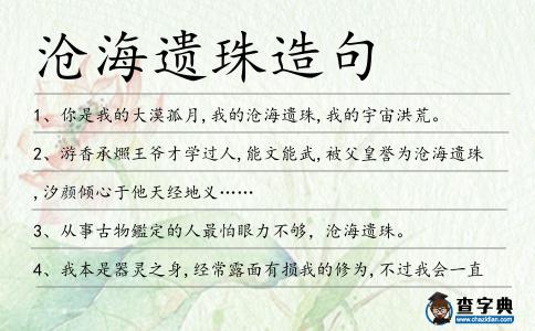 滄海遺珠造句