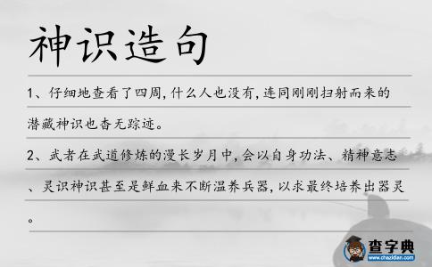 神識造句