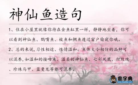 神仙魚造句