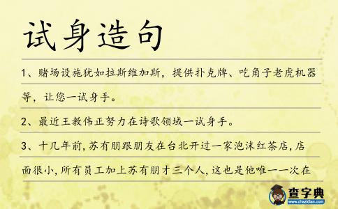 試身造句