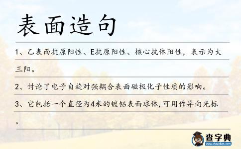 表面造句